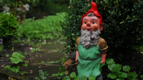 Herr Schreber würde staunen