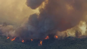 2300 Menschen müssen wegen verehrendem Waldbrand ihre Häuser verlassen