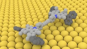 Im Fuhrpark der molekularen Werkstatt  