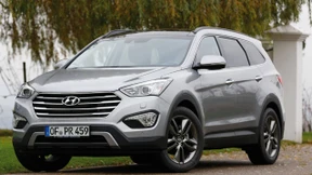 Mit den großen Hunden spielen