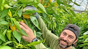 „Die Arbeit erfüllt, doch ich sollte an der Front sein“