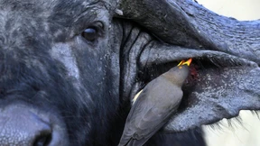 Wenn Denunziation sich lohnt