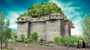 Alles Grüne kommt von oben