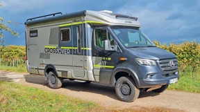 Pfadfinder vom Dienst