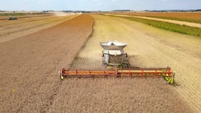 Bayer lässt Aktionäre über den Klimapfad abstimmen