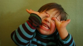 Richard Dawkins rät einfach zu einem neuen Versuch