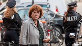 Wie viel Leben passt hinein? 