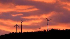 Wie Windräder die Umwelt zerstören