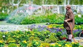 Klimawandel ist überall