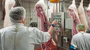 EU-Sozialkommissar „entsetzt“ über Missstände in Schlachthöfen