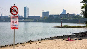 Düsseldorf erlässt als erste Stadt Badeverbot im Rhein
