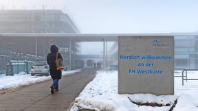 Deiche, Schafe und Batterien