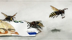 Ohne demokratische Legitimation