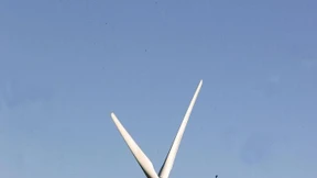 Frankreich verdient an der Windenergie