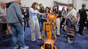 KI für Babys und Bienen