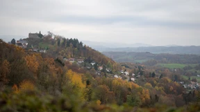 Trübe Aussichten trotz hoher Steuereinnahmen