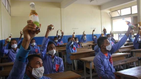 Pflanzliches „Heilmittel“ gegen Covid-19