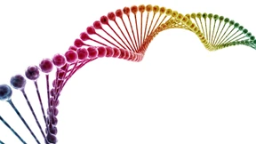 Die Humangenetik spielt eine Schlüsselrolle für Diagnose und Therapie