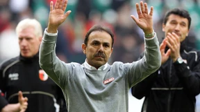 Frischlinge an den Fleischtöpfen