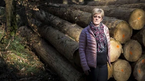 Irgendwann muss gut sein