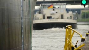 Main-Schwimmer löst Suchaktion aus