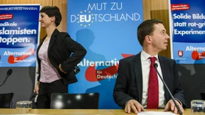 Ein Jahr Petry, ein Jahr Streit