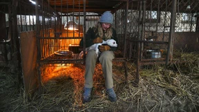 Vor dem Kochtopf gerettet