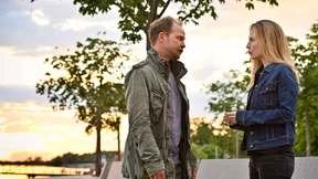 Auf dem Rücken der Pferde