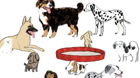 Beliebter Heimarbeitsplatz