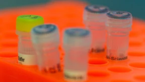 Die Macht der Geduld