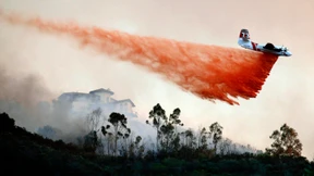 Viele sehen Hab und Gut verbrennen