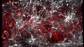 „Ein entscheidender Schritt in Richtung Therapie“