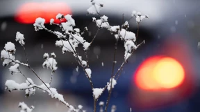 Schnee und Glätte sorgen für Verkehrsprobleme