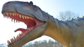 Jedes süße Osterküken ist ein kleiner T-Rex