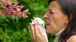 Das Allergie-Desaster