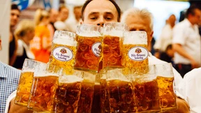 Bierhefe lockt gezielt Fruchtfliegen an