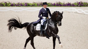 Wunderhengst Totilas ist tot