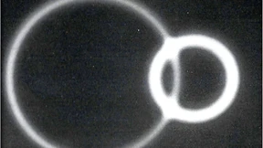 Quantenschlupflöcher