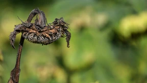 Deutscher Wetterdienst zieht Bilanz