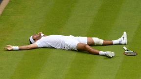 Djokovic gegen del Potro, Murray gegen Janowicz