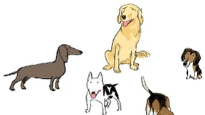 Auf Mau-Wau gestrandet