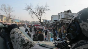 Tage im Eisenschwein