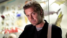 Irgendwas klopft von innen an die Kiste