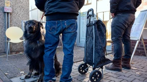 Der beste Freund soll nicht hungern