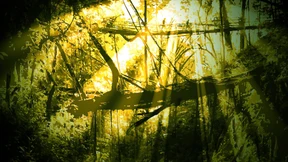 Ein Schlüssel für die moderne Architektur?