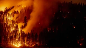 „Das Feuer ist schneller“