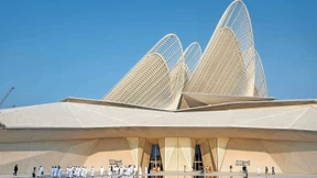 Der Falke spreizt seine Schwingen