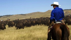 In den Augen verrät sich die Leidenschaft des Tötens