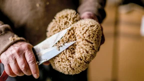 Schwamm drüber? Von wegen!