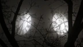 Der Traum ist Schatz und Ersatz